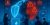 Data Breaches Are Rising – Here's How to Protect Your Network in 2025